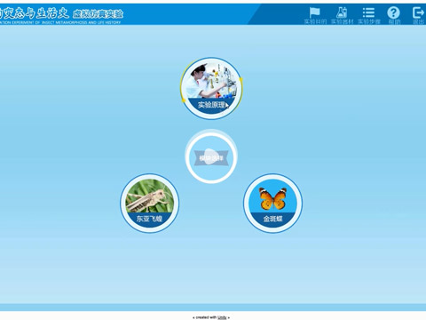 昆虫的变态与生活史视频演示